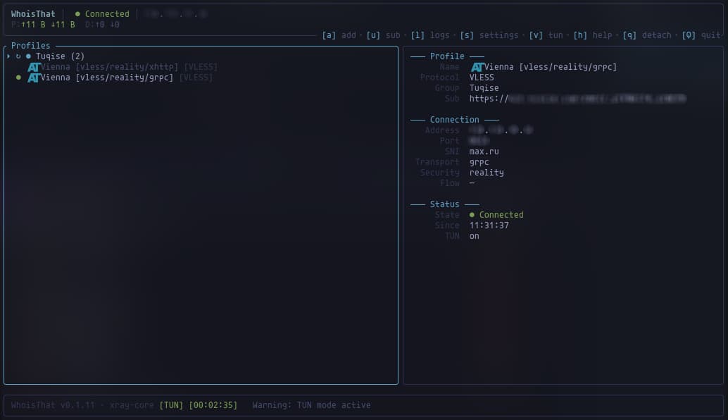 WhoisThat TUI — terminal VPN client interface showing profiles, details, and bottom bar